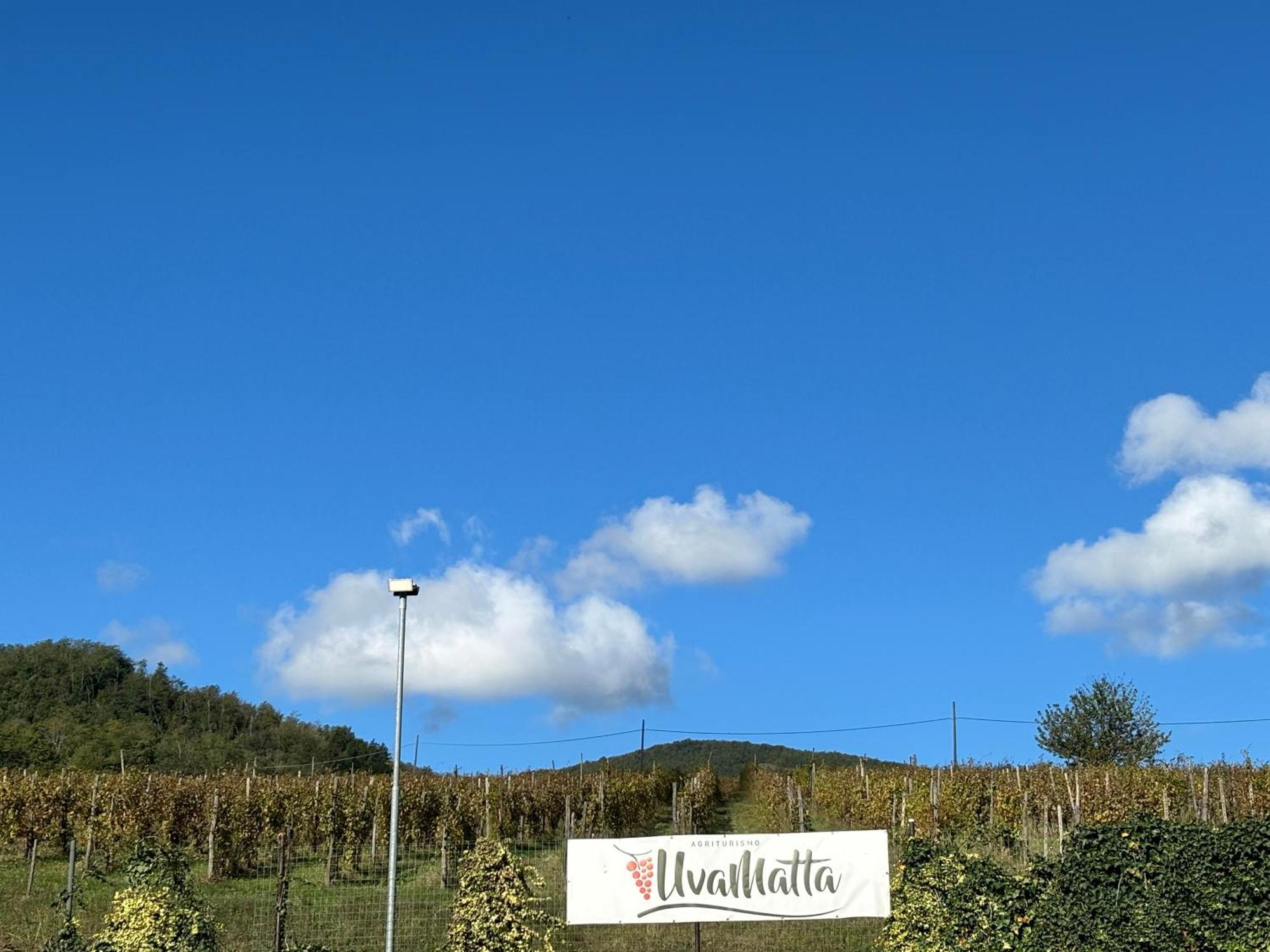 Vakantieboerderij Uvamatta *