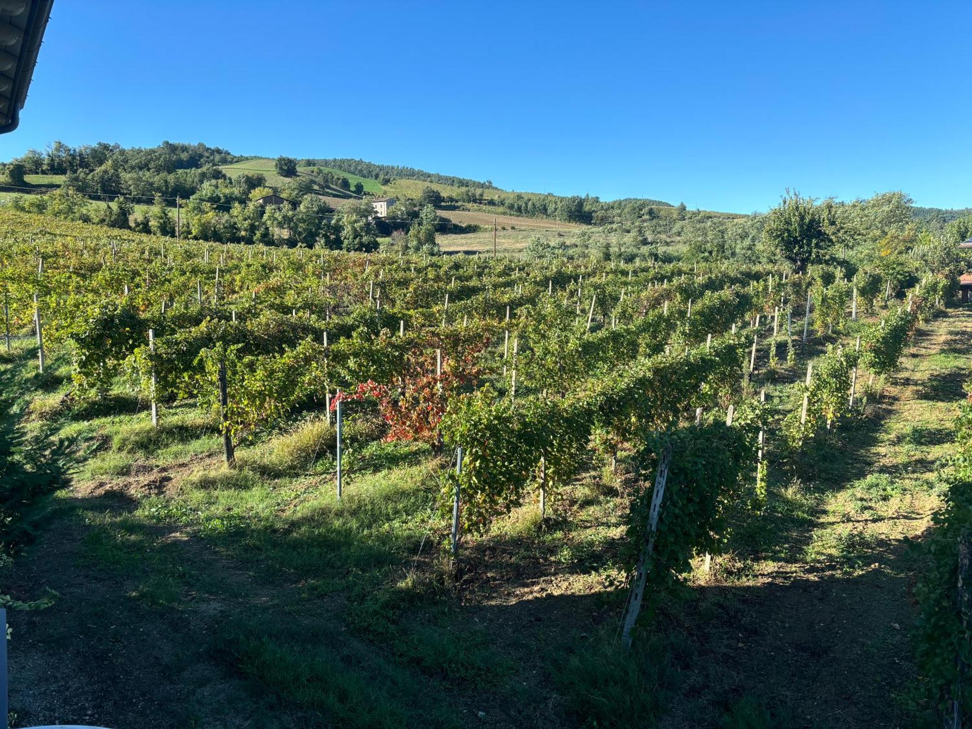 Farm stay Uvamatta