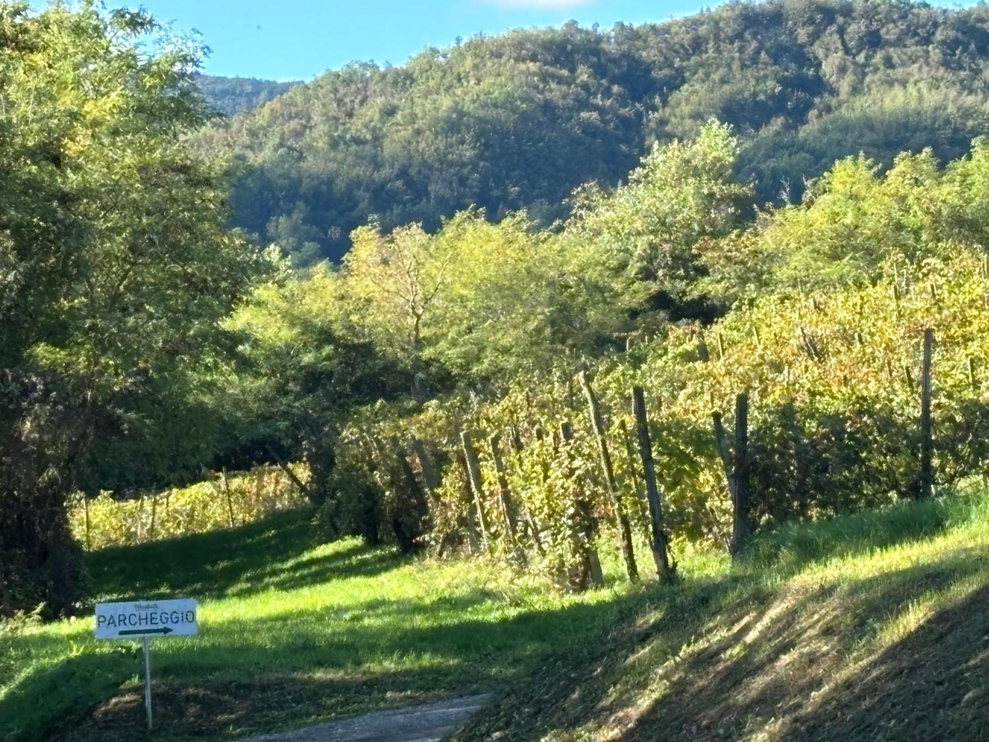 Uvamatta *