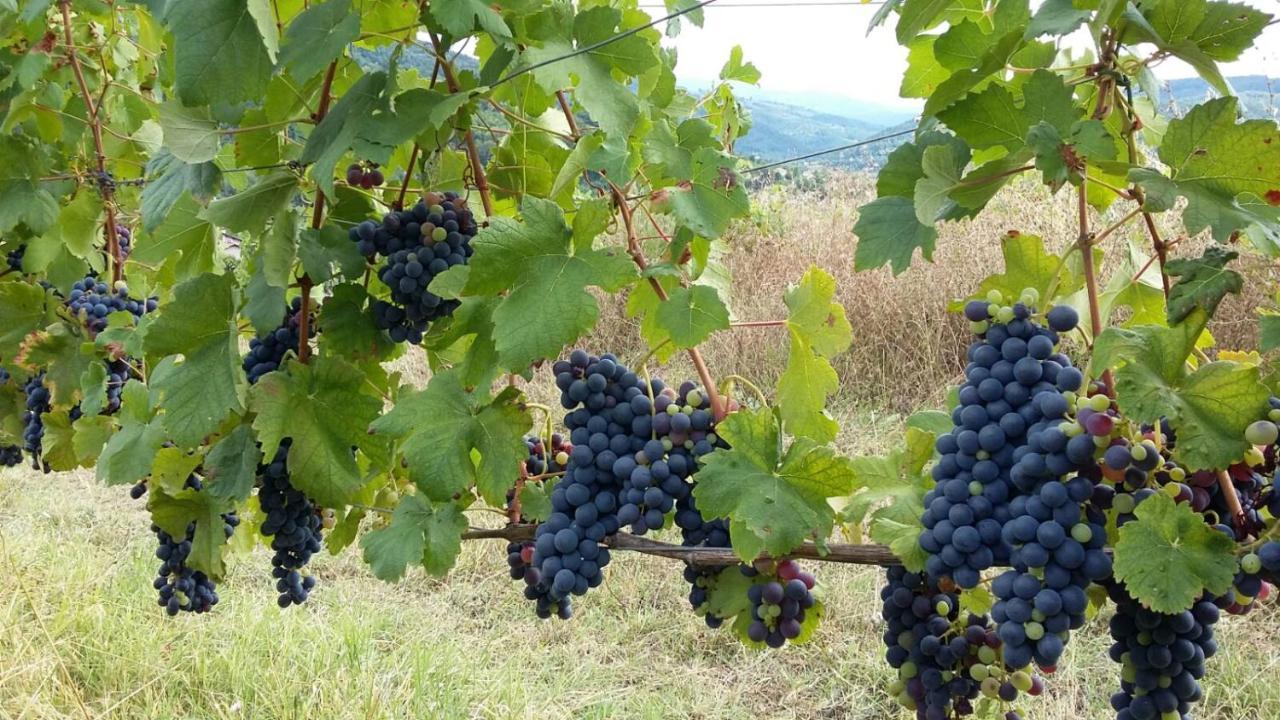 Farm stay Uvamatta *