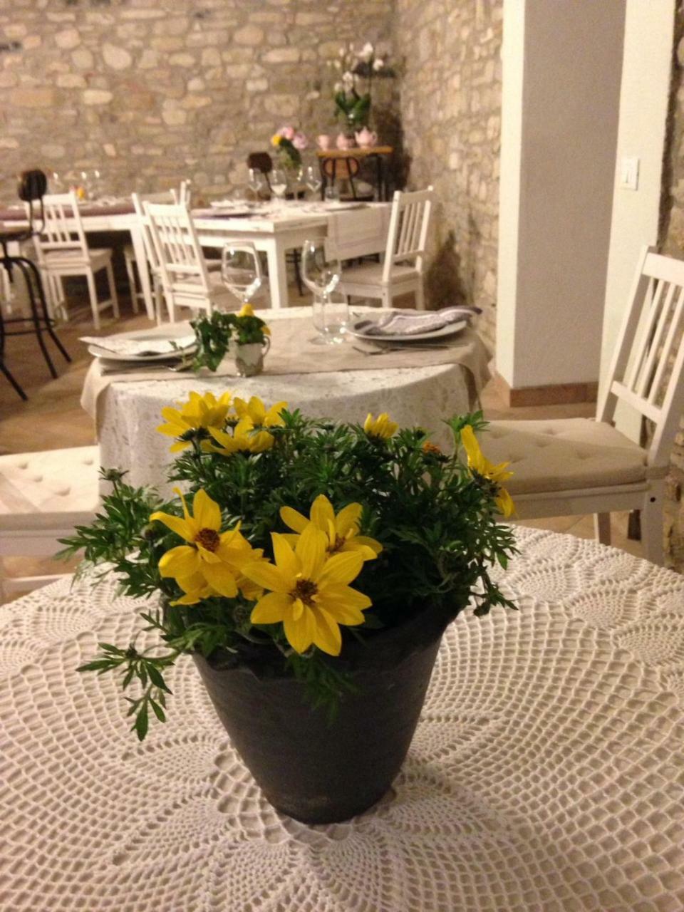 Farm stay Uvamatta